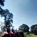 ���� �����, ������� - ��������� 15 ������� 2015 � ������ ������ ���