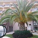 ���� ���������, ������, 64 ���� - ��������� 26 ������� 2015 � ������ ������ � ������