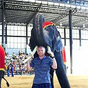 ���� ���������, ��������, 69 ��� - ��������� 26 ������� 2015 � ������ ������ ��������