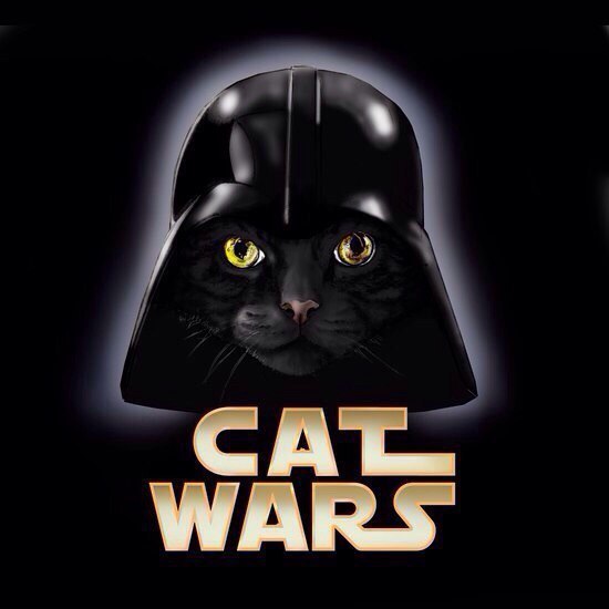 Cat wars - 9