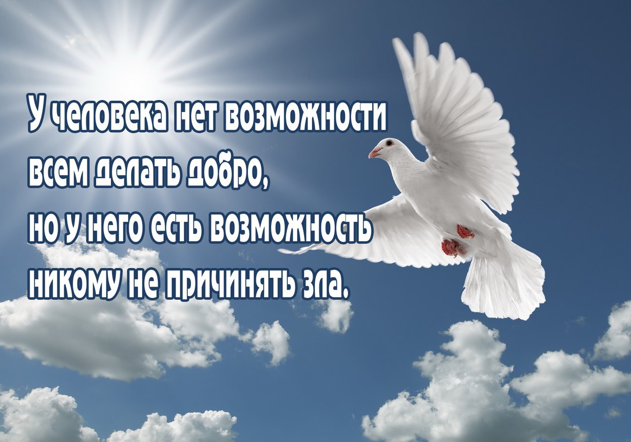 ������ - 4 ������ 2015 � 15:20