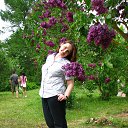 ���� ����@, �����-��������� - ��������� 25 �������� 2015 � ������ ���� ����������