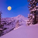  Nta-., - -  23  2016   .