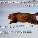 ���� ����, ������, 44 ���� - ��������� 10 ������ 2015 � ������ ������ ��������