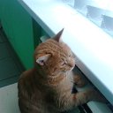 ���� �������, ������, 58 ��� - ��������� 19 ������ 2016 � ������ ���� ����������