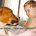 ���� �������, ������, 54 ���� - ��������� 11 ������� 2015