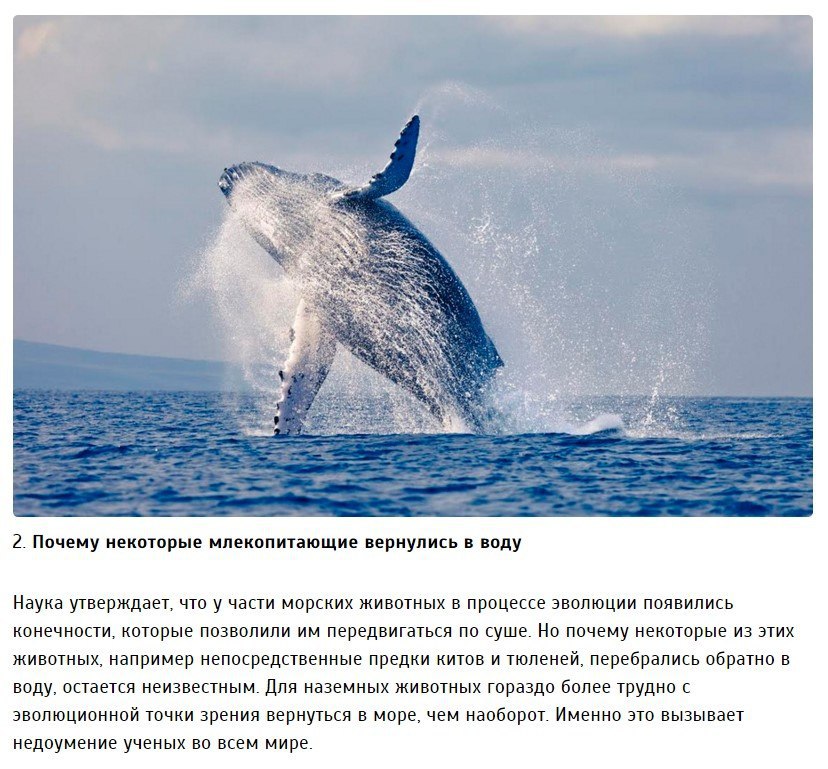 10   ,        .(Fact)  ... - 2
