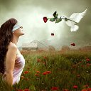 ���� ���, ��������, 45 ��� - ��������� 31 ������� 2015 � ������ ���� ����������