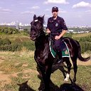 ���� ������, ������, 42 ���� - ��������� 17 ������� 2015 � ������ ���� ����������