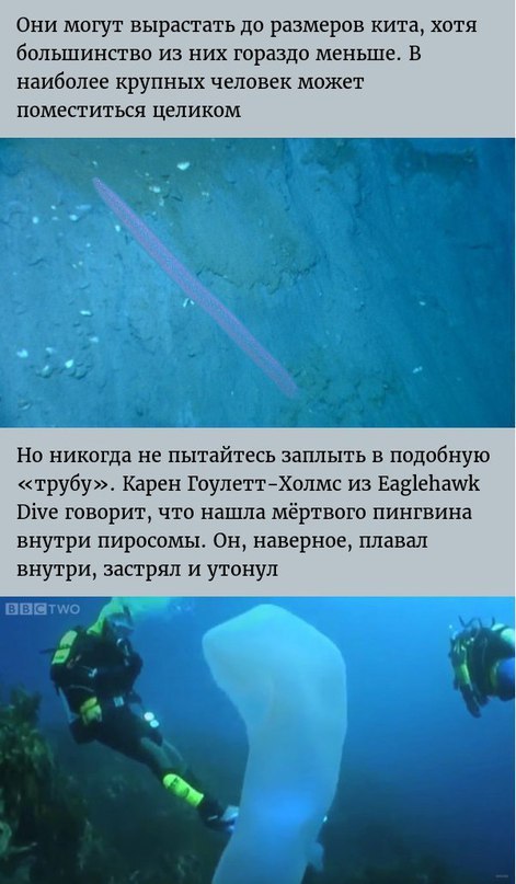        . - 4
