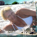 ���� 2015 �� ������� ���� ����������