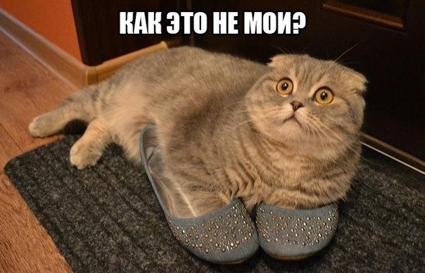       - 20  2015  07:31