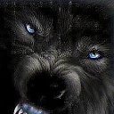 ���� ������, �����, 47 ��� - ��������� 15 ������� 2015