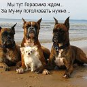 ���� �����, ��� - ��������� 21 ������ 2016 � ������ ������ ��������