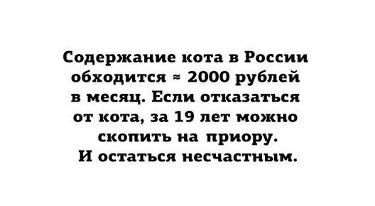       - 11  2015  07:31