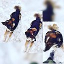 ���� �����, �������, 36 ��� - ��������� 31 ������ 2016 � ������ ������ ��������