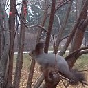 ���� �������, ������-���������, 48 ��� - ��������� 12 ������� 2015 � ������ ���� ����������