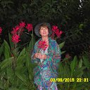 ���� ������, ���������, 65 ��� - ��������� 24 ������� 2015 � ������ ������ 2015�