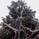 ���� �����, ���������, 50 ��� - ��������� 12 ������ 2016 � ������ ������ ��������