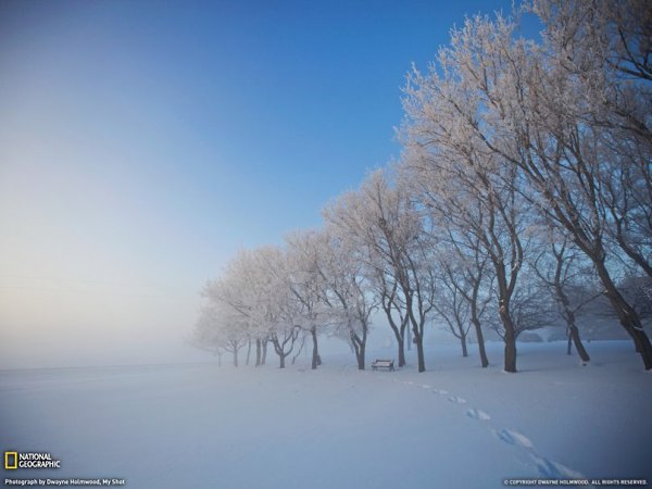 Лучшие фотографии National Geographic за январь 2011 года - 7