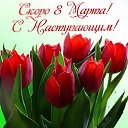 ���� �������, ���������, 72 ���� - ��������� 7 ����� 2016 � ������ ������ ��������