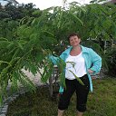 �������� �� ������� ���� ����������