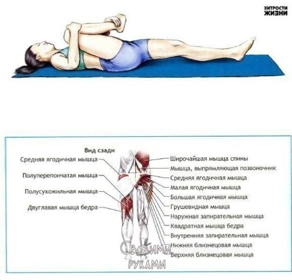 Мечтаешь сесть на шпагат? Сохрани себе инструкцию по растяжке!