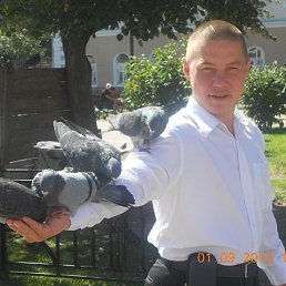 ���� �������, �����������, 40 ��� - ��������� 6 ������� 2015