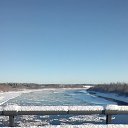 ���� ˸����, �����-���������, 36 ��� - ��������� 9 ������ 2016 � ������ ���� ����������