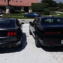 ���� ����, ������, 55 ��� - ��������� 2 ������ 2015 � ������ ���� ����������