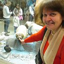 ���� ����, ������, 61 ��� - ��������� 6 ������ 2016 � ������ ������������� �����