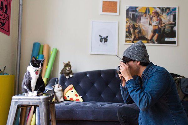         .#animal@travel.blog