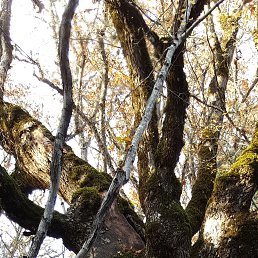 Vladimir, ������, 64 ����