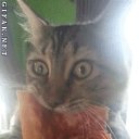 ���� ������, ������ - ��������� 22 ������� 2016