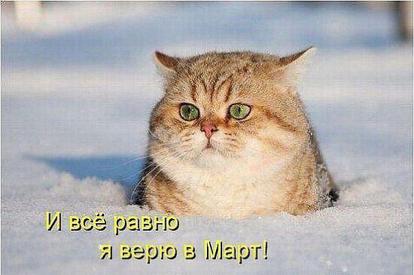       - 5  2016  23:33
