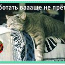���� �������, ������ - ��������� 12 ������� 2015 � ������ ���������