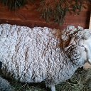 ���� ������, ���������� ����� - ��������� 10 ������ 2016 � ������ ���������� 2016�