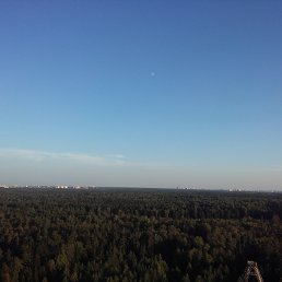 Y655, �������