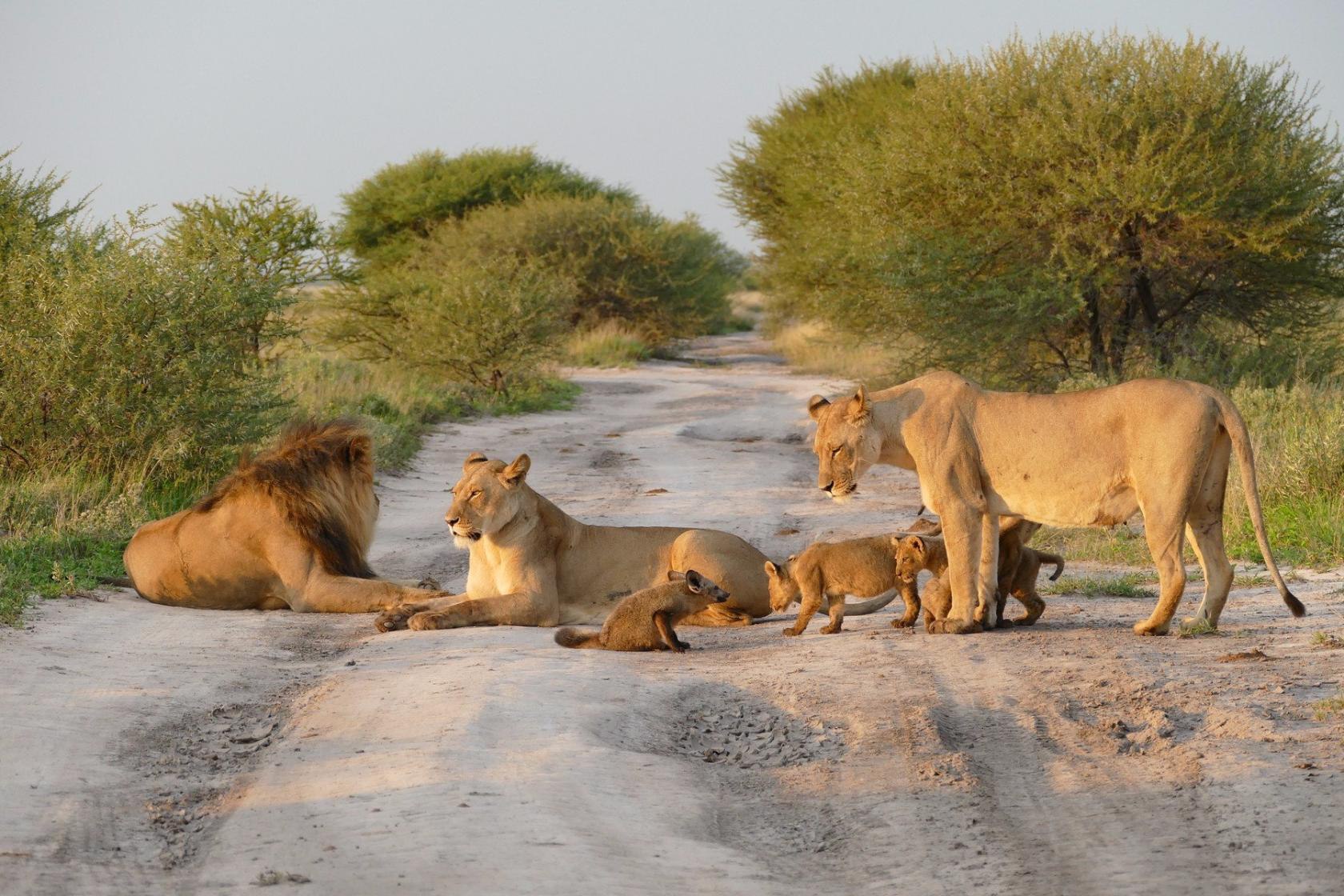 "�������� ���" - �� �������� ��������, ����� ������� � ������������! ��� ���� ... - 4