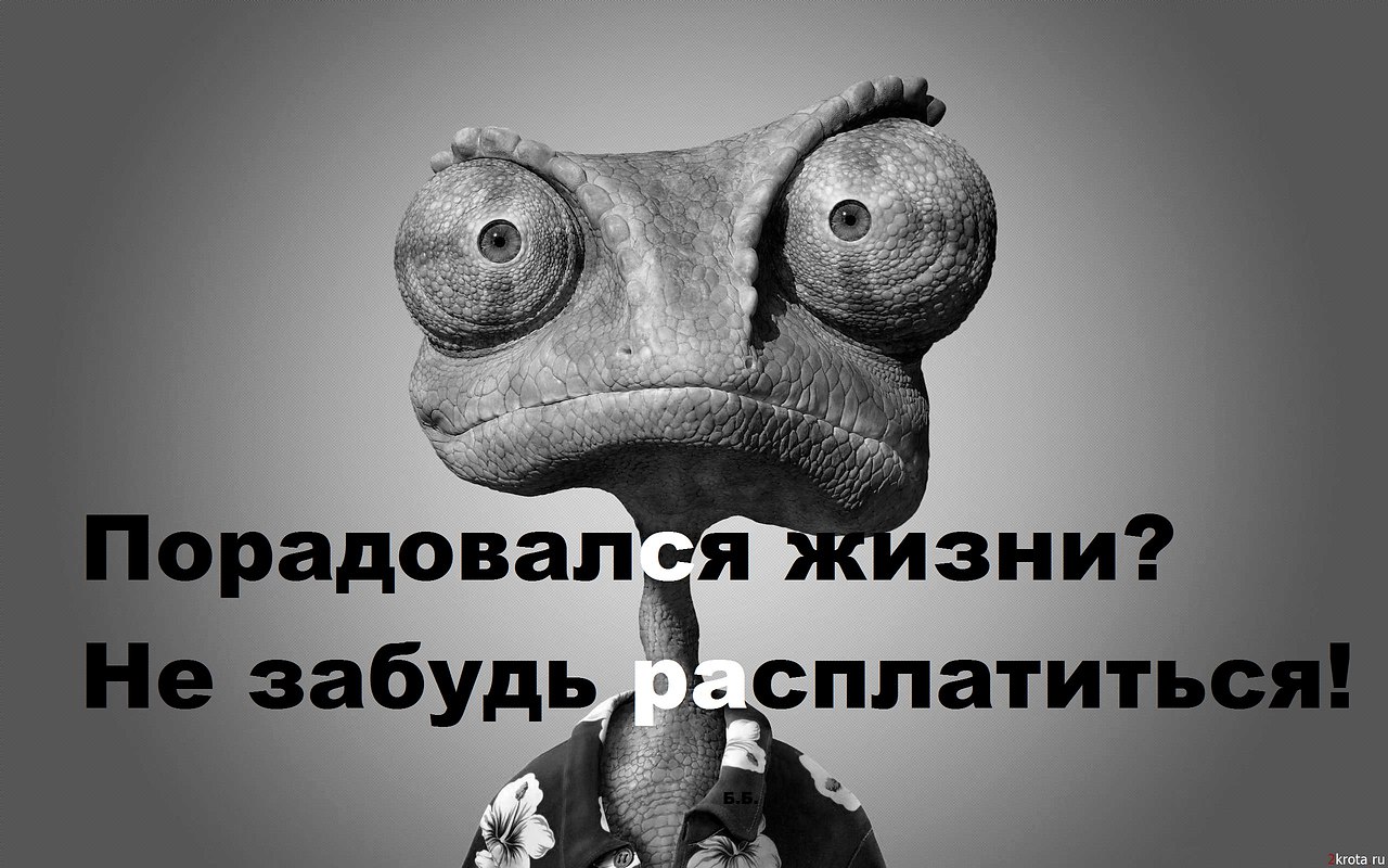   - 24  2015  03:11