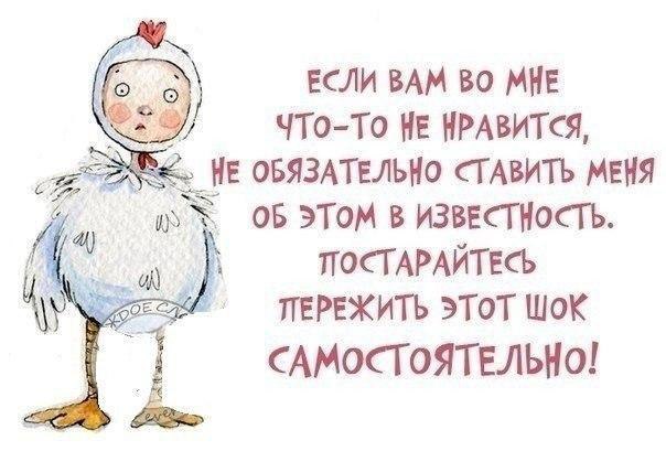 Прикольные афоризмы на все случаи жизни | Жизнь в стиле Ноль отходов (zero waste) | Дзен