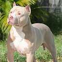 ���� Seleniya, ������, 51 ��� - ��������� 30 ������ 2016 � ������ ������ ��������