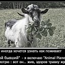 ���� ����, ��������� - ��������� 27 ������ 2015 � ������ ������ ��������