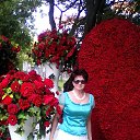 ��������� ������ � �������
���� 2015 �� ������� ���� ����������