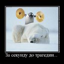 ���� ������, ����� - ��������� 29 �������� 2015 � ������ ������ ��������