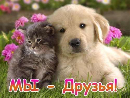 Запомни,не бывает сто друзей... Когда ты в бриллиантах и шелках, Друзья тебя качают на руках. Когда ...