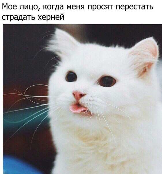   - 10  2016  10:13