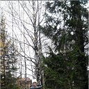 ���� ���������, ������������, 38 ��� - ��������� 4 ������� 2016