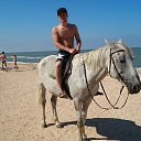 ���� ����, �����-���������, 37 ��� - ��������� 23 ������ 2015 � ������ ���� ����������