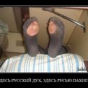 ���� ��������, ���������� - ��������� 29 ������ 2016 � ������ ������ ��������